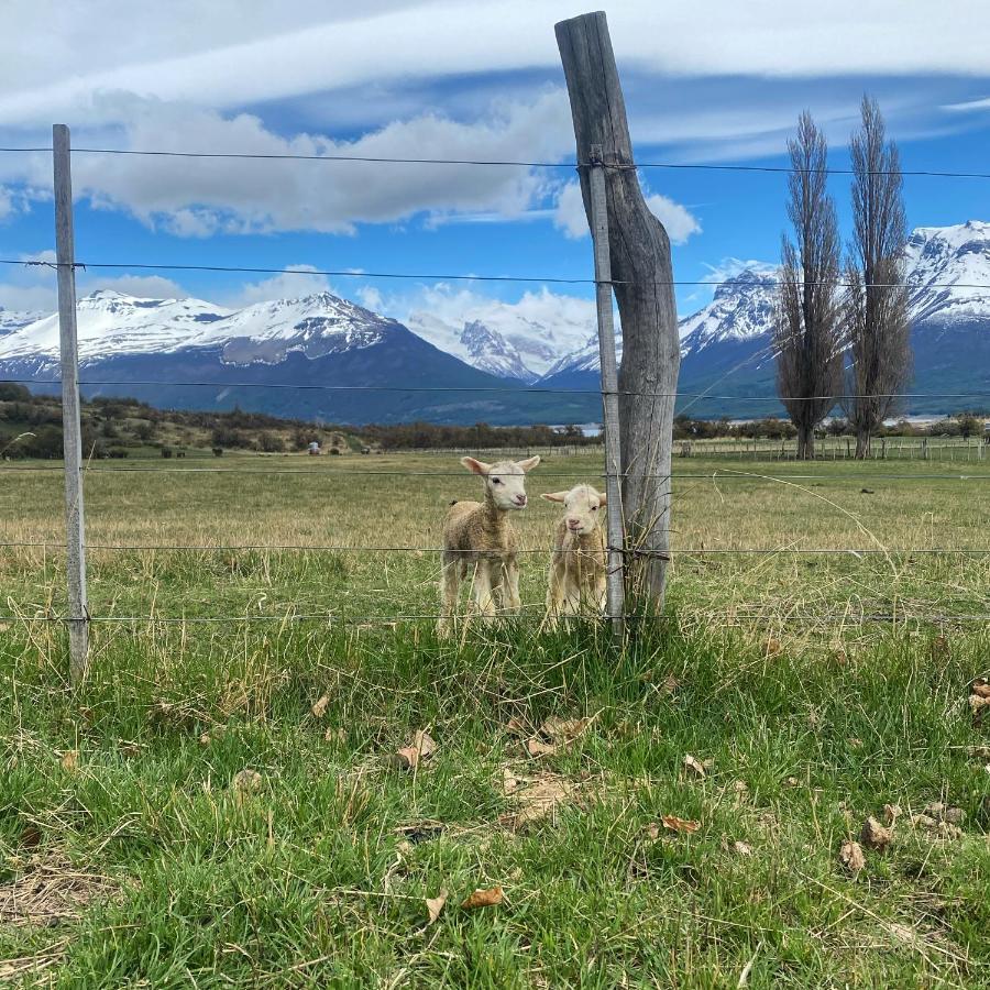 Estancia Nibepo Aike Colonia Francisco Perito Moreno Eksteriør billede