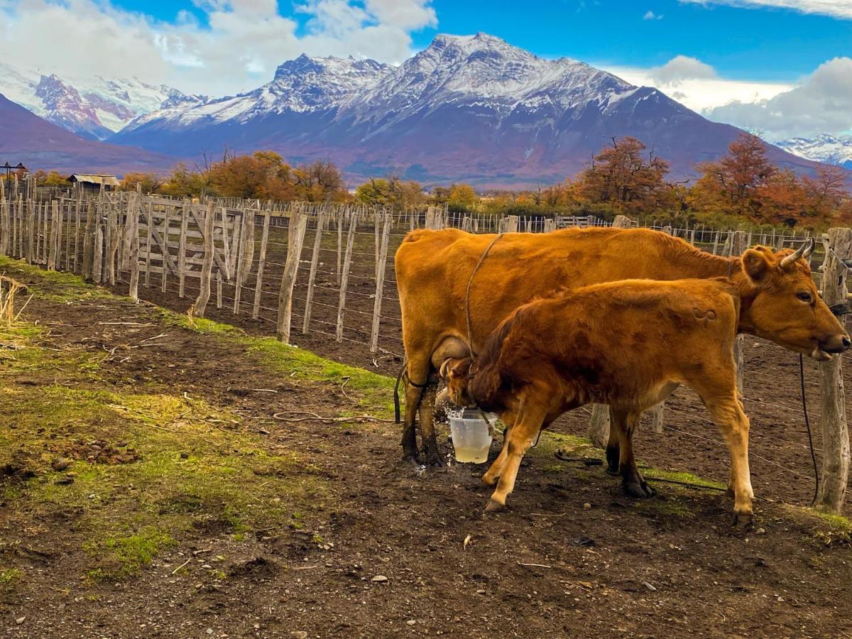 Estancia Nibepo Aike Colonia Francisco Perito Moreno Eksteriør billede