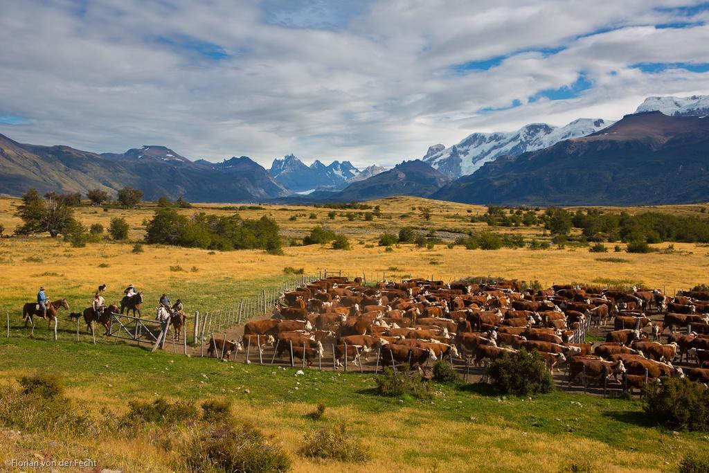 Estancia Nibepo Aike Colonia Francisco Perito Moreno Eksteriør billede